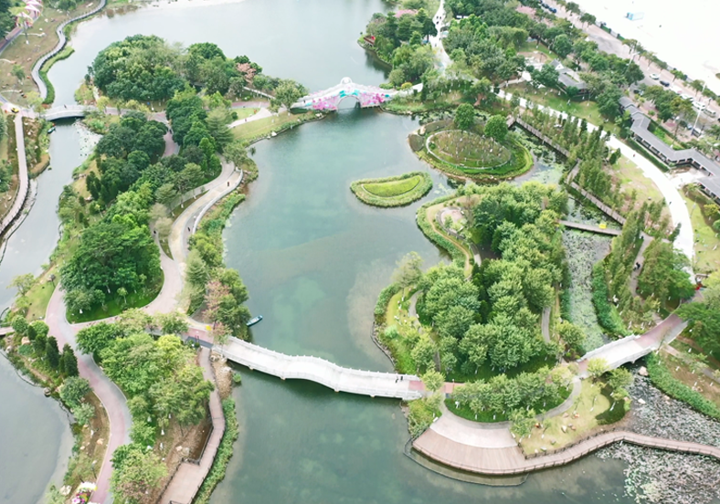 重建水下生態(tài)系統(tǒng)，提升水體自凈能力
