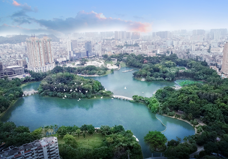 “水下森林”景觀，擦亮綠色低碳城市名片